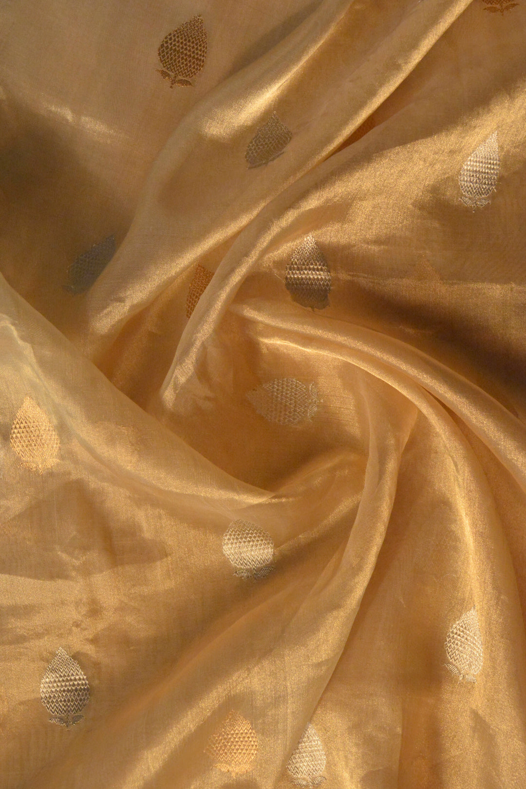 Gold Tissue Silk Banarasi Saree SA170GLD_4