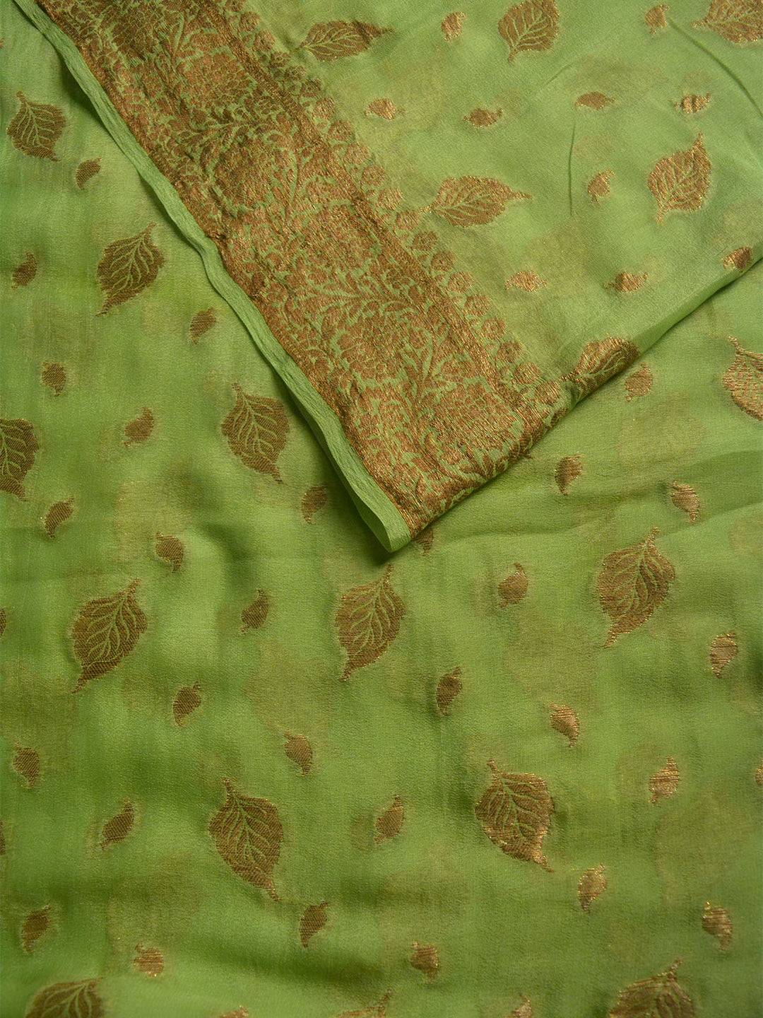 Green Khaddi Chiffon Silk Banarasi Saree SA279GRN_2